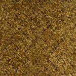 ambre