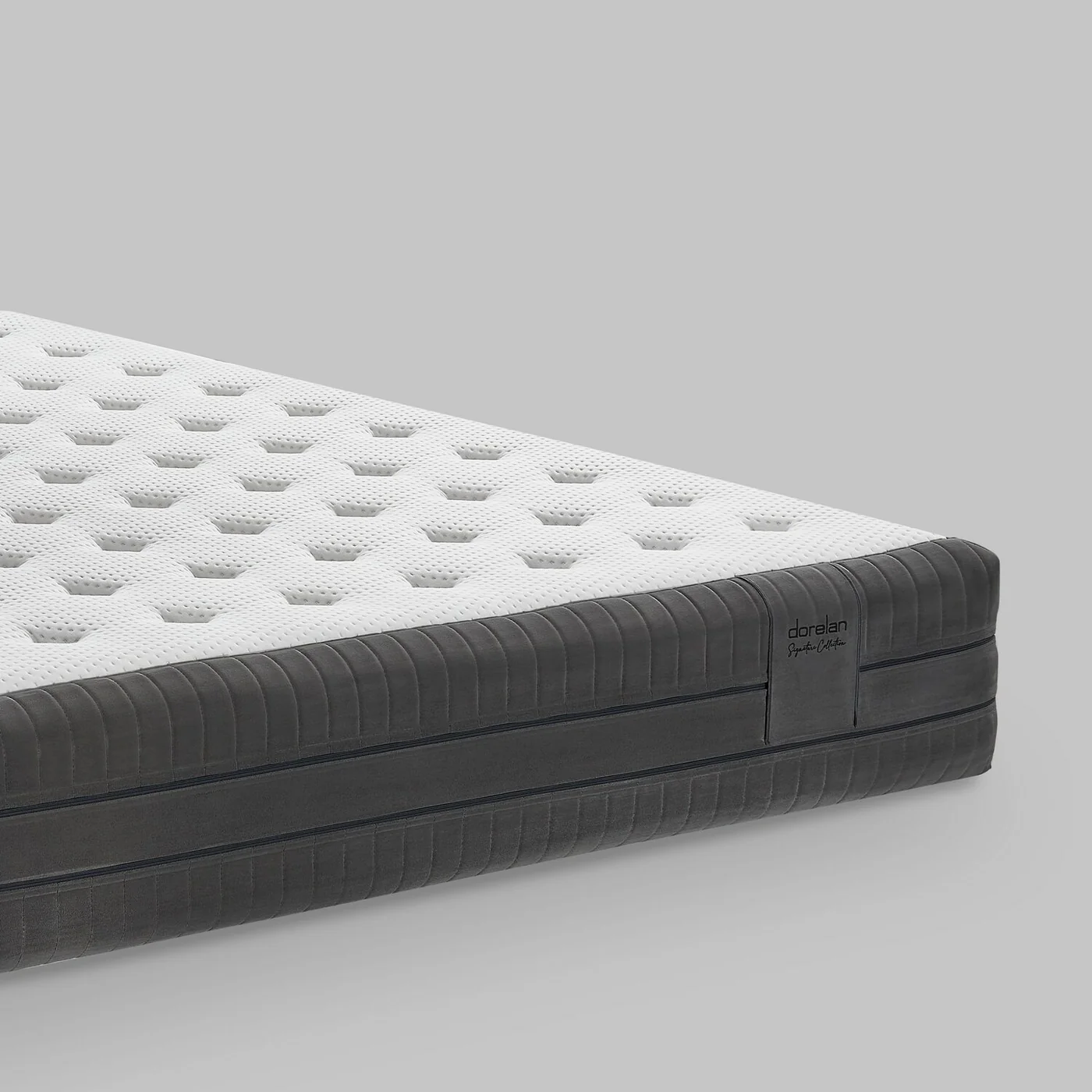 stylus 6
